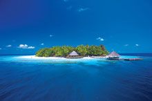 Angsana Resort & Spa Maldives Ihuru  5*