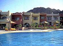 Oasis Resort Dahab  4*