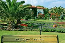 Papillon Belvil  5* & HV-1