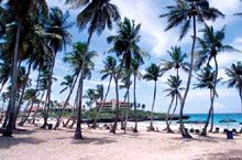 Tropical Dream Beach Resort (ex. Barcelo Naiboa)  3*