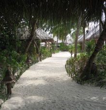 Veligandu Island Resort  4*