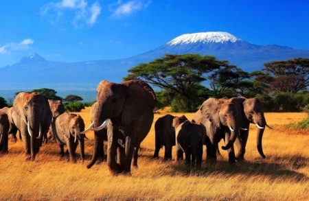 Выгодные поездки по Кении