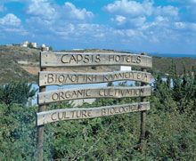 Capsis Elite Resort - Divine Thalassa  5*