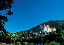 Gstaad Palace  5*